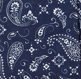 Paisley tube face mask