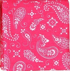 Paisley tube face mask