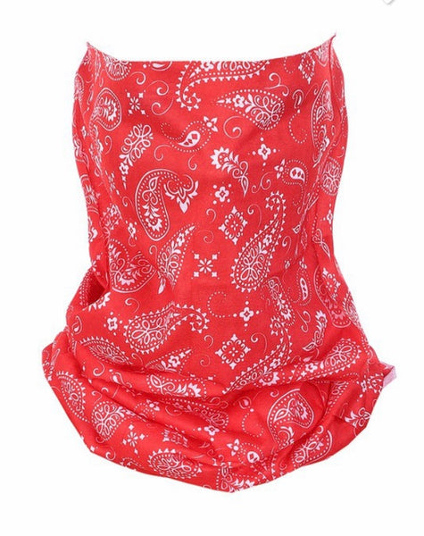 Paisley tube face mask