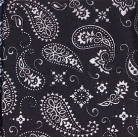 Paisley tube face mask