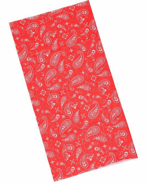 Paisley tube face mask